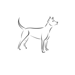 Vector image of an Dog black and white. design style. animal. art. symbol. logo. Illustrator. on white background. Mammals
