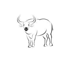 Vector image of an buffalo black and white. design style. animal. art. symbol. logo. Mammals. Wild buffalo. Illustrator. on white background