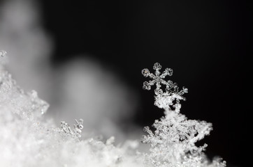 winter photo of snowflakes in the snow