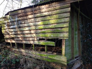 Close up of part of derelict disused abandoned shed hut wooden building in natural   forest rural...