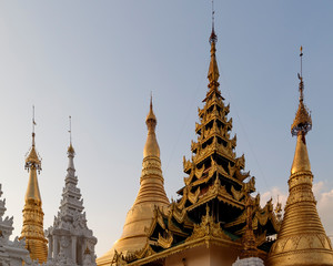 Fototapeta premium shwedagon pagod in Rangon, Myanamar 