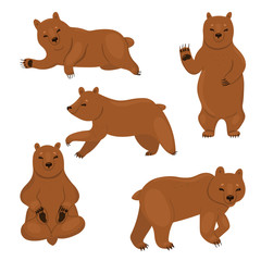 Set of brown bears isolated on a white background. Vector graphics.