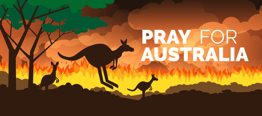 pray for australia banner forest in fire burning  with kangaroo silhouettes