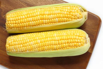 Corn is vegetable food.