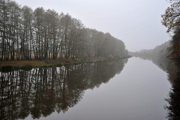 autumn river in the fog and trees without leaves