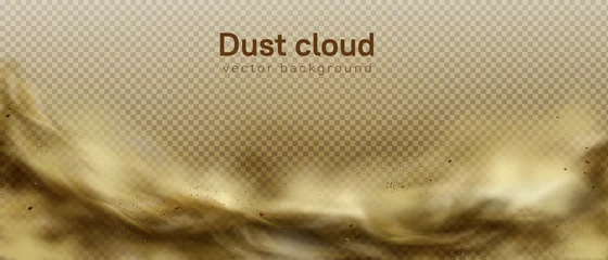 Foto op Canvas Desert sandstorm, brown dusty cloud or dry sand flying with gust of wind, big explosion realistic texture with small particles or grains vector frame, border isolated on transparent background © klyaksun