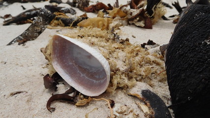 Strand in Südafrika auf der Kap Halbinsel in der Nähe von Kommetjie