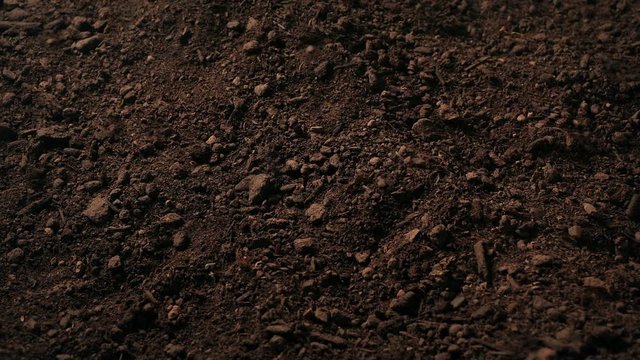 Moving Over Soil Generic Background