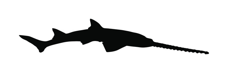 Sawfish or carpenter shark vector silhouette illustration isolated on white background. Saw shark graphic symbol. Saw fish predator under the sea or ocean. - obrazy, fototapety, plakaty