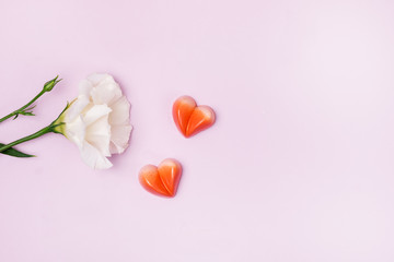 White Flower and Tasty Homemade Tasty Candy in Shape of Hearts on Pink Background Valentine Day Concept or Card Holiday Background Copy Space Top View