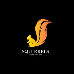 creative squirrel animal logo design icon symbol illustration-vector