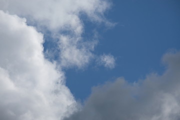 Watch the clouds. They will teach you about the world of form.