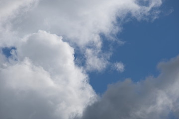 Watch the clouds. They will teach you about the world of form.