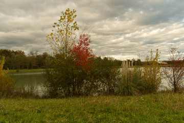 Obraz premium Automne et ses couleurs chatoyantes et flamboyantes végétation colorée