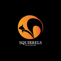 creative squirrel animal logo design icon symbol illustration-vector