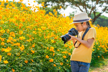 Little girl taking yellow flowers photo