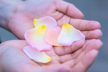 花びら　手