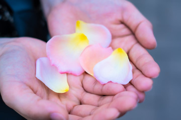 花びら　手