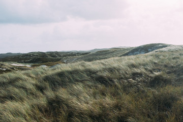 Dünen am Meer im Wind