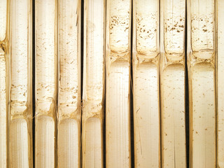 abstract wood background,bamboo wallpaper.