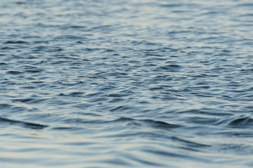 ripples on surface of water
