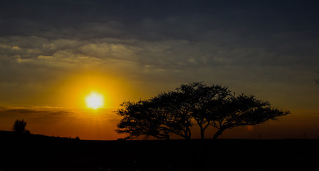 Fototapeta na wymiar sunset in masai mara kenya
