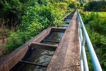 Water Irrigation Bridge in Farmland