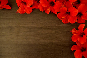 hibiscus flowers on a wooden table