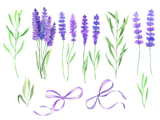 Watercolor illustration with lavender flowers.