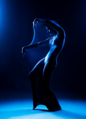 Obraz na płótnie Canvas Slim girl wearing a white bodysuit dances a modern avant garde dance, covering her body with elastic transparent fabric in blue light. Artistic, conceptual and creative design. Silhouette photography.