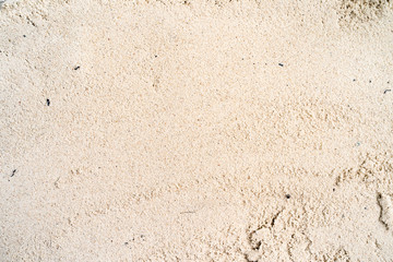Textured yellow sand background.