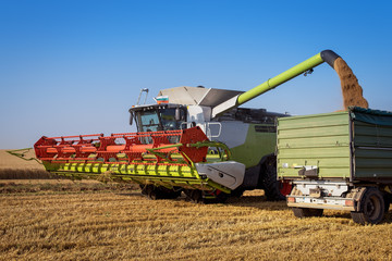 Fototapeta premium Harvest machine loading seeds in to trailer.