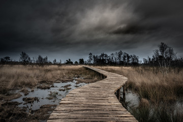 Dark moody sky at Limburg, National park de Groote Peel in the Netherlands. Wooden pathway through the protected wetlands. 
