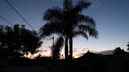 just right before the sunrise in the early morning