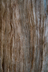 Textured wooden background.