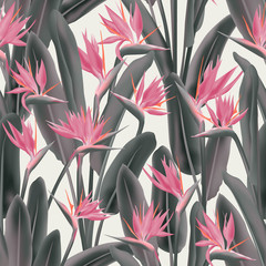 Strelitzia reginae tropical flower vector seamless pattern. Jungle exotic tropical plant fabric design. South African plant tropical blossom of crane flower, strelitzia. Floral textile print.
