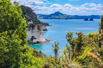 Deurstickers prachtig landschap op weg naar Cathedral Cove op het schiereiland Coromandel, Noordereiland, Nieuw-Zeeland © Joppi
