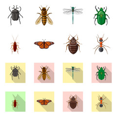 Vector illustration of insect and fly icon. Set of insect and element vector icon for stock.