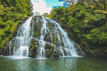 Owharoa Falls on the North Island of New Zealand