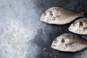 Fresh uncooked Dorado or sea bream fish