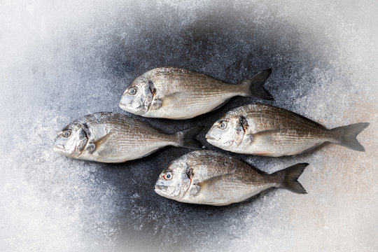 Fresh uncooked Dorado or sea bream fish
