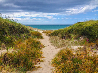 Fototapeta na wymiar small sandy walkway leads to the beach, North Island, New Zealand