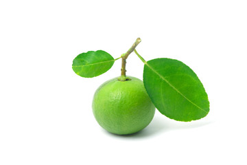 Fresh lime fruit with green leaf isolated on white background