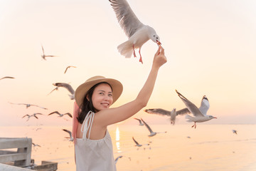 Asian enjoy woman hand holding a food and Seagulls bird flying down to eat from the hand feeding with sunset sky background. © visitr
