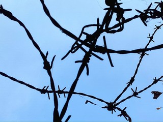 barbed wire on a background of blue sky