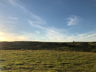 Sun, grass, perfect countryside