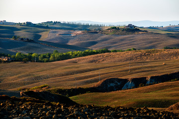 Naklejka premium Fields cultivated in late summer on the Sienese hills