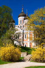 view on Alexander Nevsky Cathedral of capital of estonia Tallinn the famous medieval town