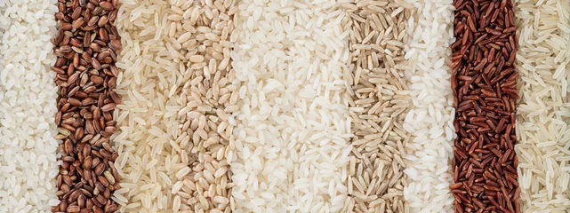 Fototapeten Panoramic banner with ten different varieties of rice. The texture of grains of rice of different colors. © vladk213