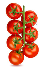 Tomato isolated on white background with clipping path